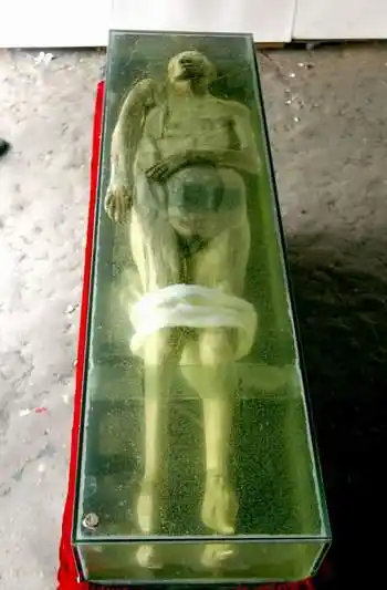 真实版睡美人睡觉成瘾 细数千年不腐睡美人(图)