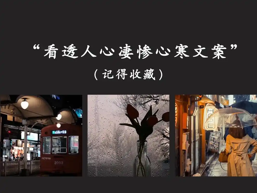 看透人心凄惨心寒的句子