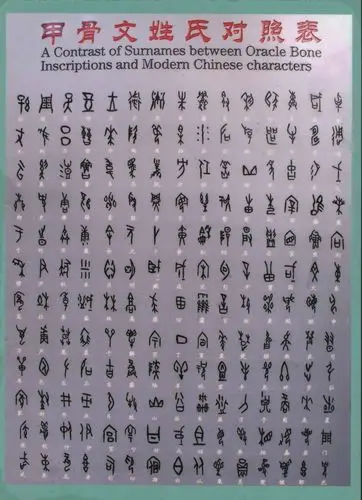 看看你的姓氏用甲骨文怎样写