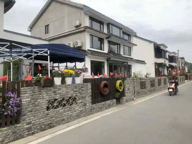 四月走园之树山美丽乡村