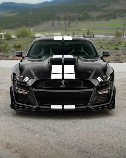 福特  #福特野马  #福特野马shelbygt500  #汽车分享  #汽车