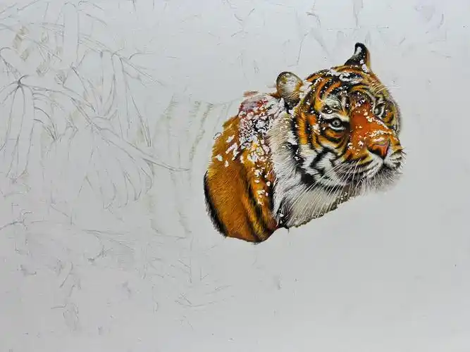 你瞅啥之猛虎下山进度条更新缓慢