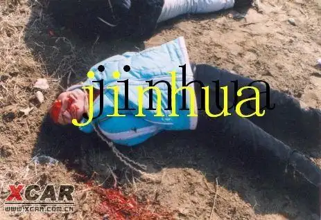 被枪毙的女刑犯【内部资料】(不喜勿入)(65/66)