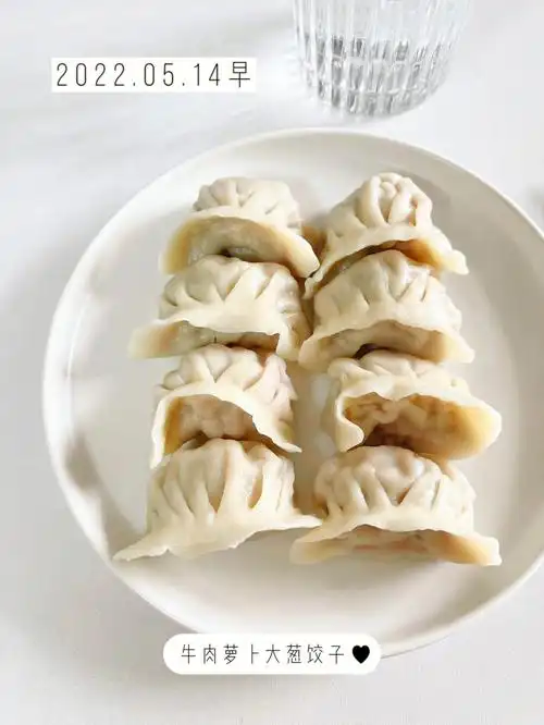 减脂期自制牛肉萝卜大葱馅饺子附做法