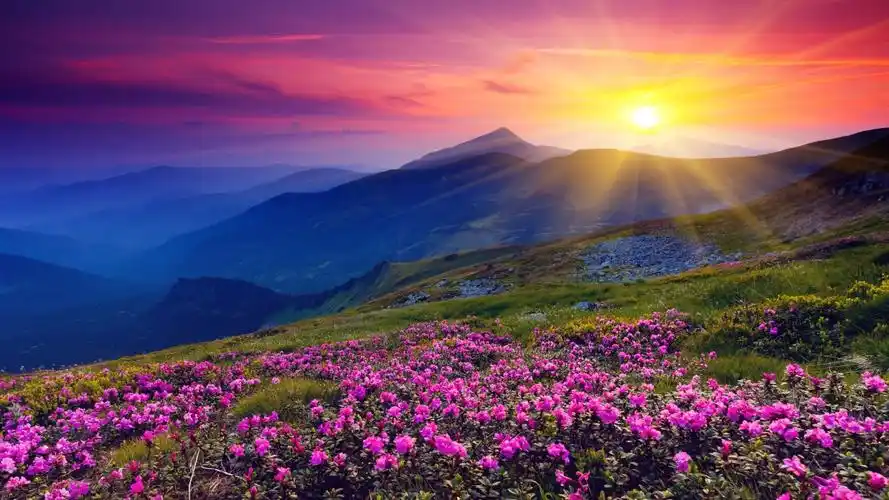 青山绿水鸟语花香黎明太阳4k风景壁纸