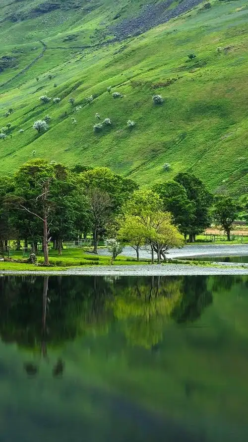山,坡,树木,湖泊,绿色 iphone 壁纸