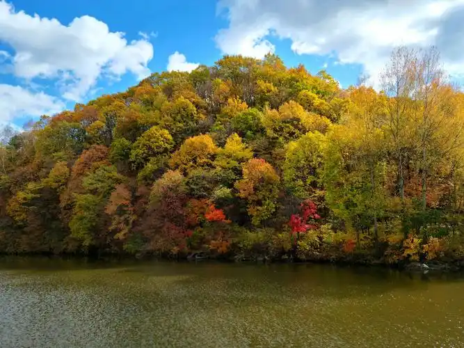 秋色灿烂的白山湖风景区-吉林省靖宇县
