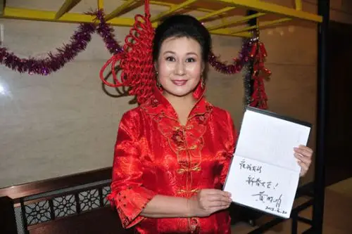 黄小娟身份背景曝光 揭黄小娟出道经历及个人作品