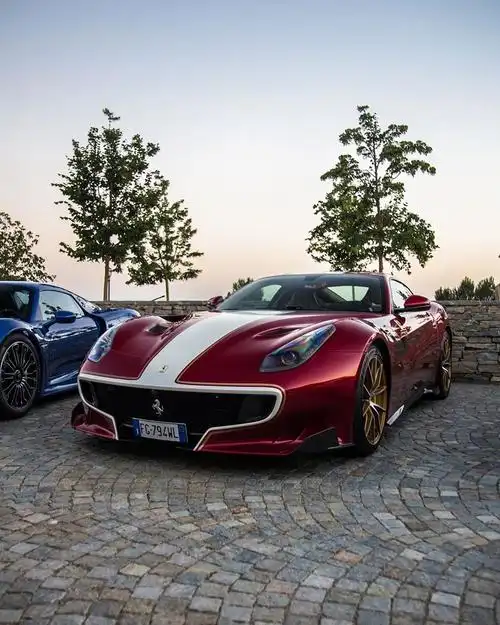 这匹马儿很nice_法拉利论坛_手机汽车之家