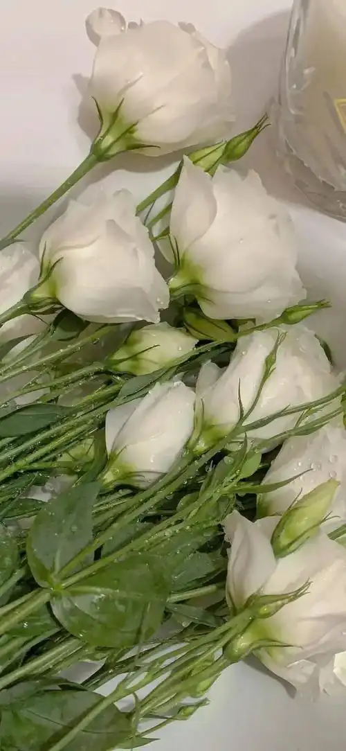 高清绿色系壁纸绿色系壁纸潮图