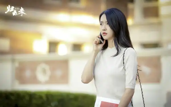 归去来亦无所归