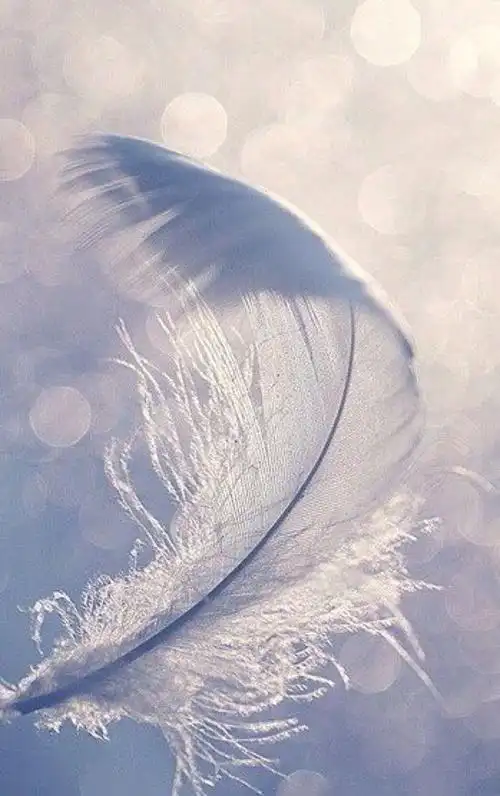 有品位的背景图片? - 知乎