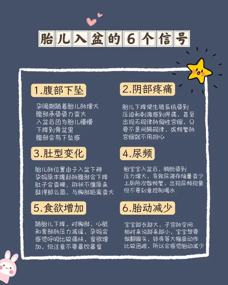 一篇讲全胎儿入盆,孕晚期妈妈不用慌7515.