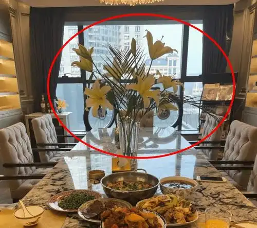 吉克隽逸说当艺人好难后豪宅内景迅速被扒出真是壕无人性