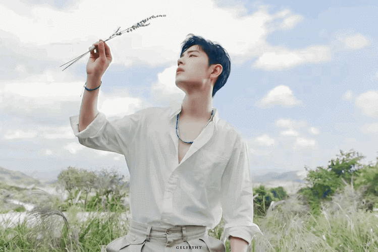 白衬衫和肖战适配度满分可男大可霸总