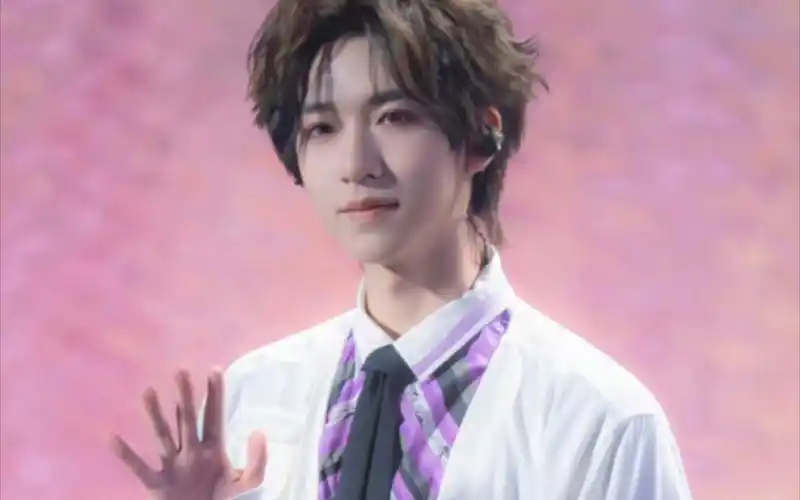 [贺峻霖]进来看!不允许还有人没看过雨木木的随机舞蹈