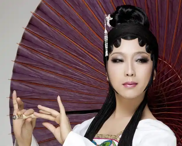 李玉刚--男人女人看了都会心动的角