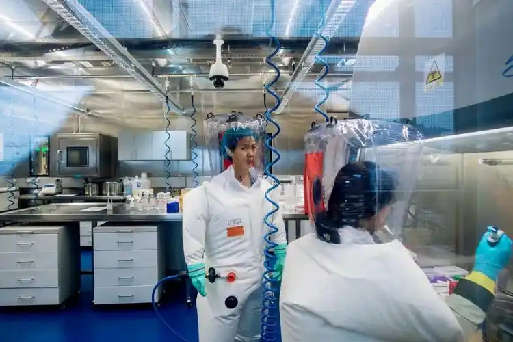 新冠病毒是实验室泄漏?福奇为何改口?还原病毒溯源三大谣言真相