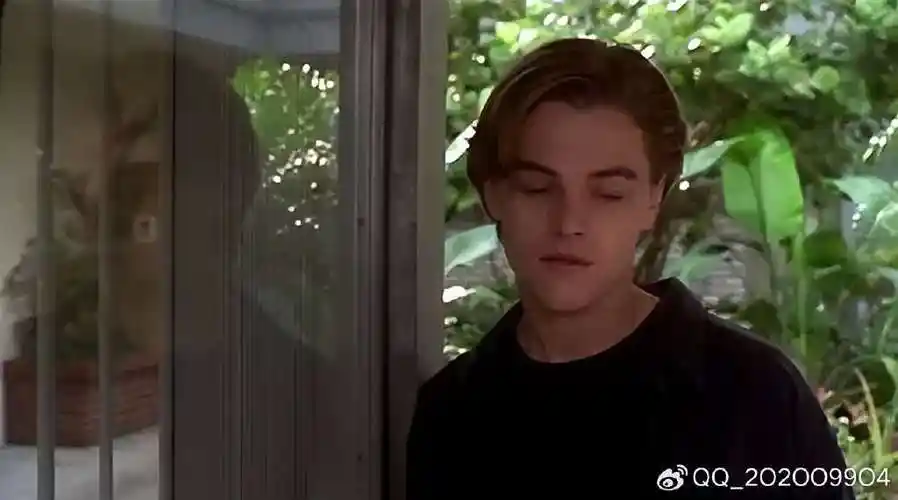 新晋奥斯卡影帝莱昂纳多主演电影大全(26部)