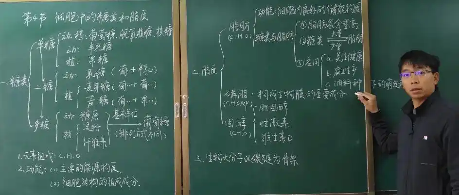 民大附中生物老师板书秀