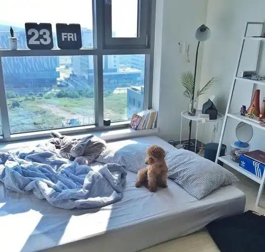 喜欢清晨照进房间的第一抹阳光(ins:todayhouse)