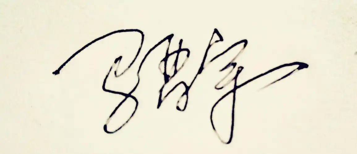 展开全部 手写签名