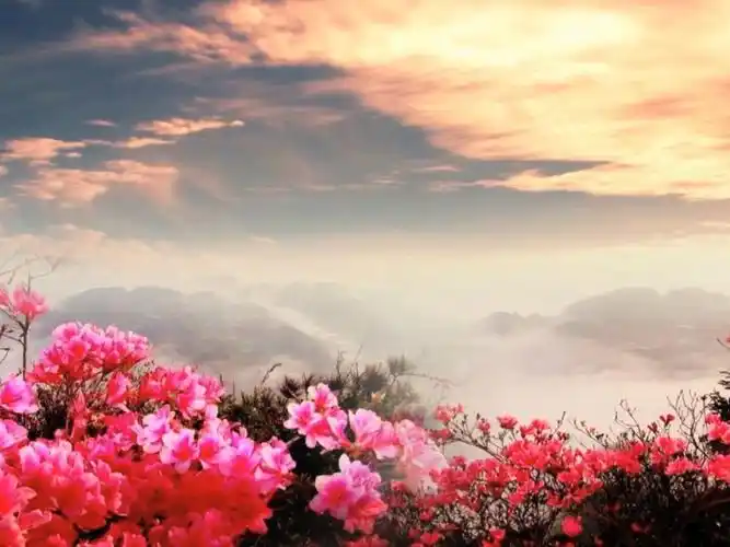 (dmy8)映山红中国民歌红歌晚会(含音乐)演出舞台晚会led背景视频