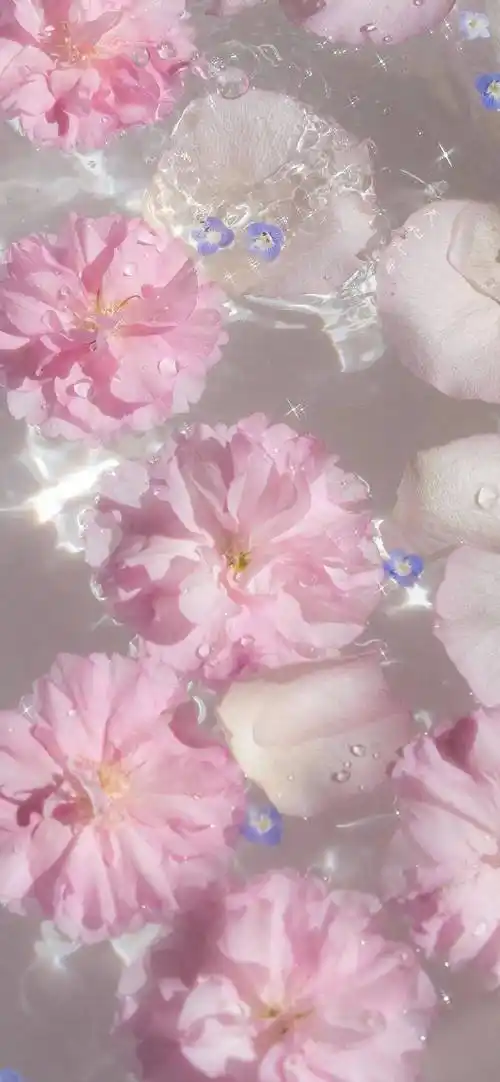 壁纸 | 无限心动的ins风高级感锁屏壁纸