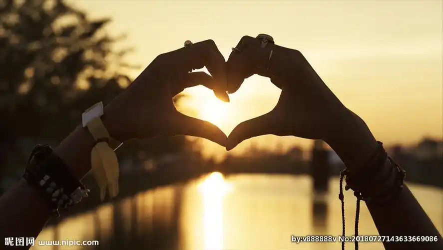 爱心手势图片