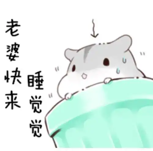 老婆,快来睡觉觉老婆中午好老婆,求求你了老婆欺负我,我要离家出走