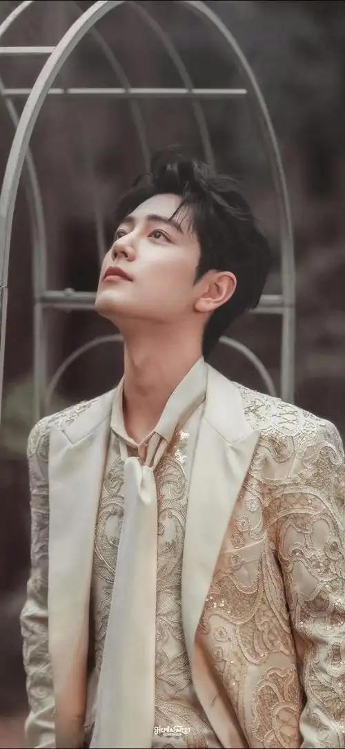 肖战微博之夜##肖战##微博之夜神图