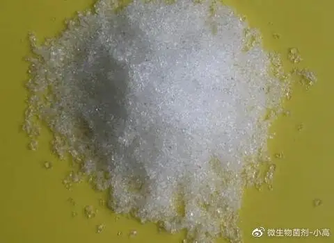 备肥旺期,进口水溶肥可千万不能选错!