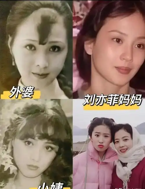 刘亦菲为何单身至今?不是没人愿意娶,看完这些照片你就知道了