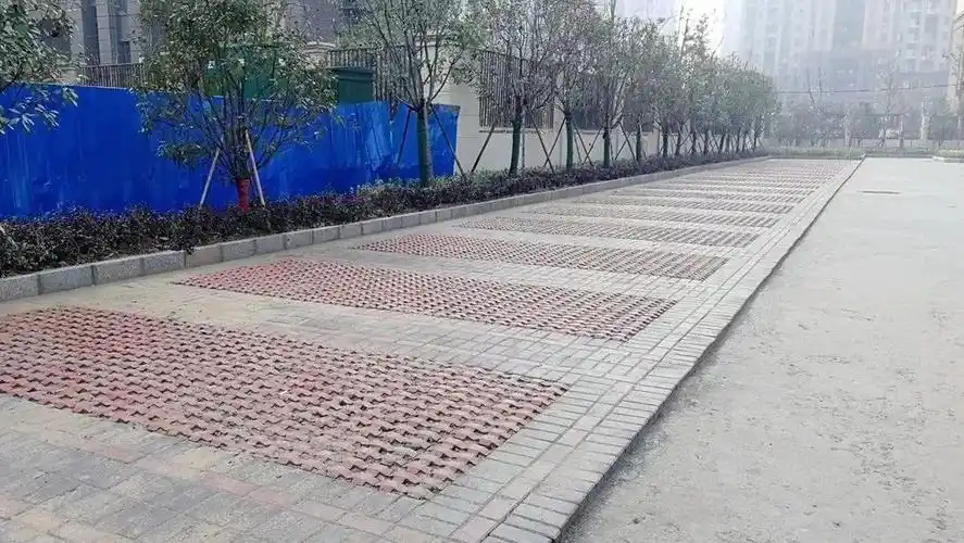 停车位以透水格栅砖铺就,四周是大片绿化带……这是基本完工的颍东区