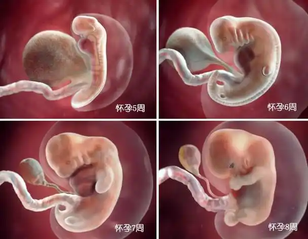 怀孕40周,9个要重点注意的问题,一个都别忽视,都是为了胎儿好