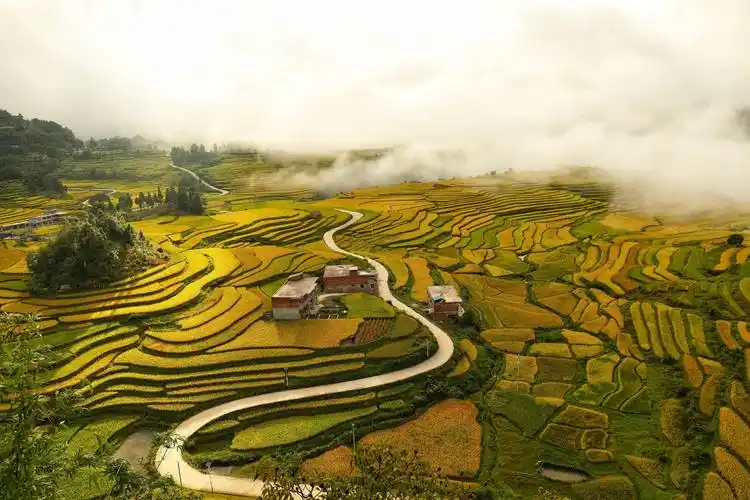 贵定腊利寨 ——梯田