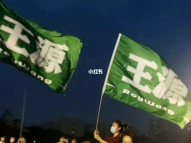 tfboys九周年巡演  #王源  我为王源举大旗!