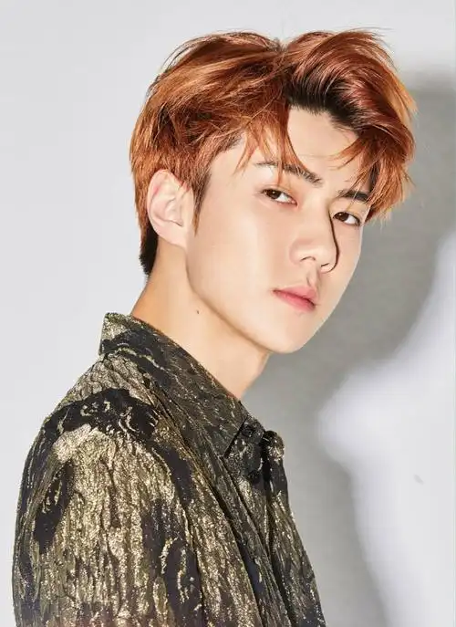 吴世勋的发色图楼更新至金色多图警告