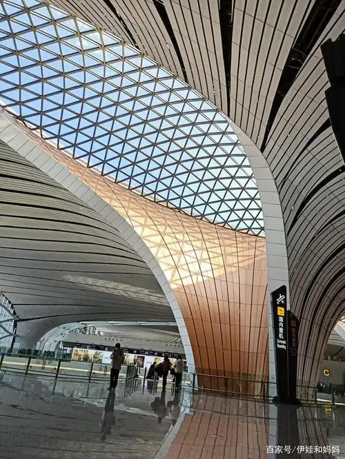 大兴机场:大学放假了,我乘坐飞机回海南.候机厅只有两三个乘客