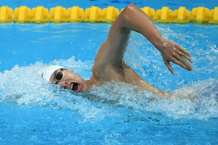 游泳男子800米自由泳预赛赛况