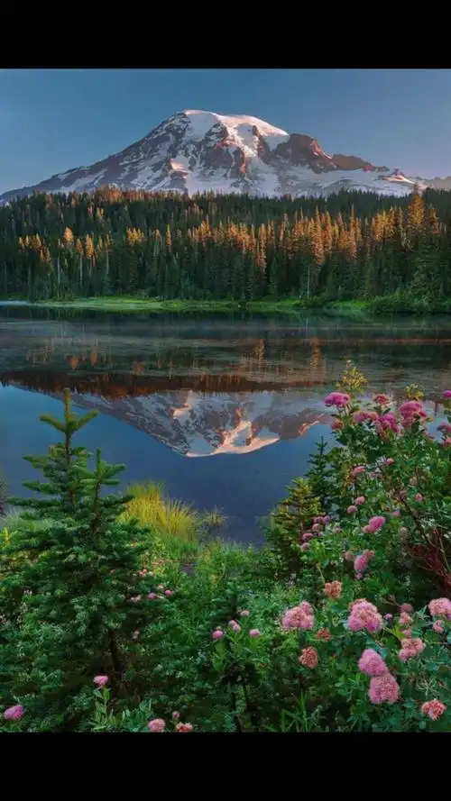 记录生活#心情不好时来看看这些风景