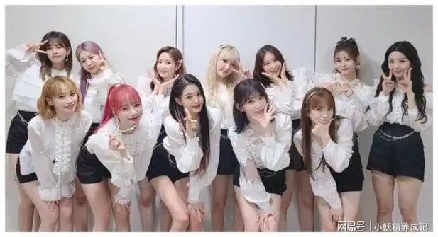 韩国综艺成员排行榜_五代韩流女团来袭!