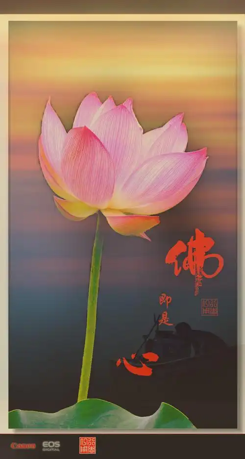 禅意摄影佛即是心