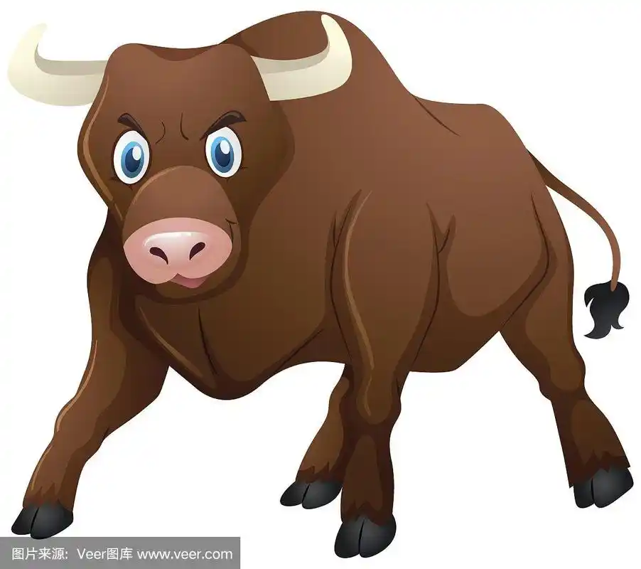 白色背景上的野牛