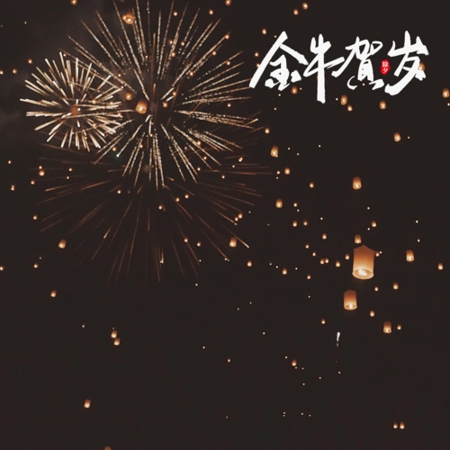 2021新年绚丽唯美夜空摄影
