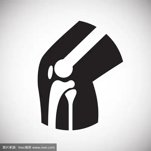 骨头图标图标在白色背景图形