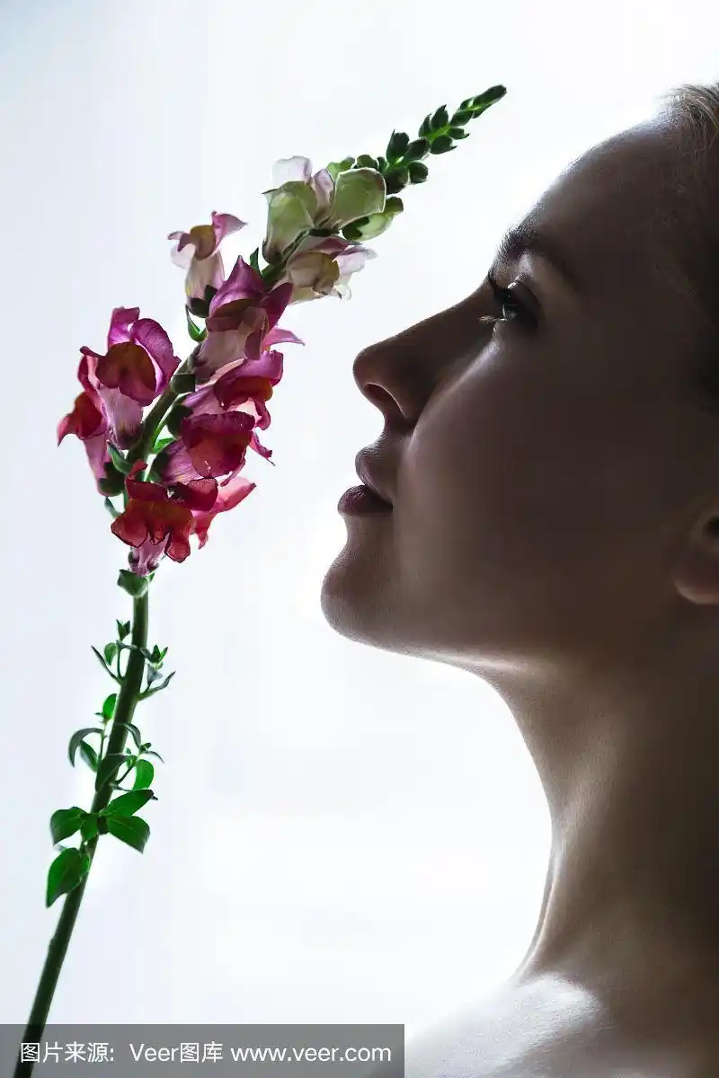 年轻女孩的脸在侧面嗅花