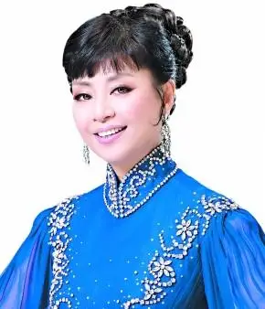 一手代理"美声皇后"殷秀梅老师 内附详细资料