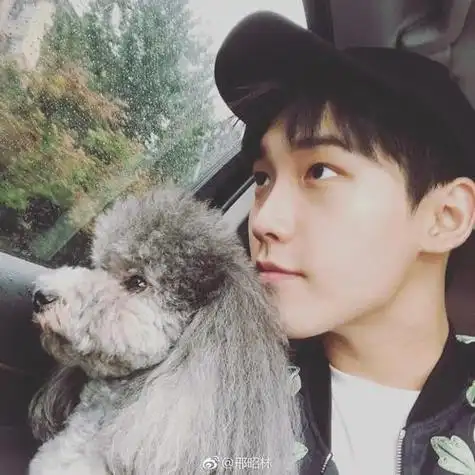 2021年11月21日15:55关注邢昭林明星男头像壁纸评论什刎