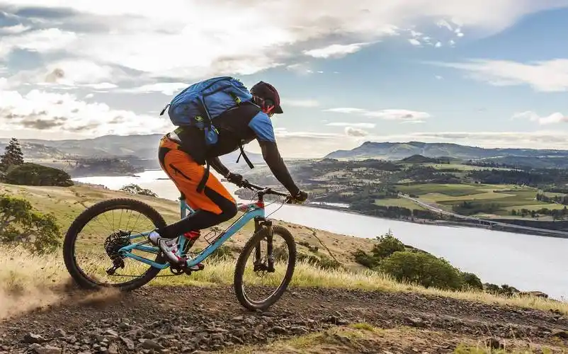 二手涨价几十倍,高端自行车成"理财产品"?_小布_价格_品牌